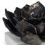 Succulent Sculpture 1 (Blackened Zinc)