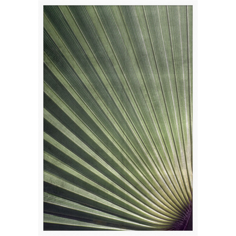 Silver Palmetto 1 Print by Lillian August