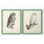 French Owls III - reproduction encadrée de qualité supérieure - prête à être accrochée - aucun clou requis - aucun clou requis-996633168-996633174