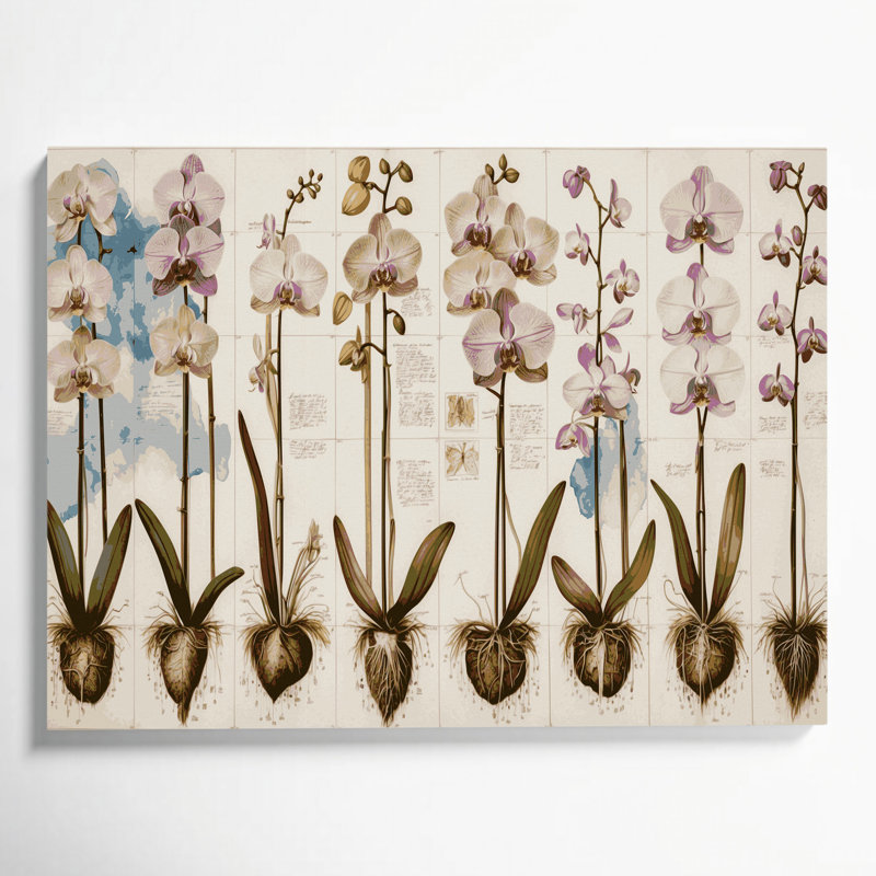 Art botanique sur toile Botanical, 12" H x 18" W