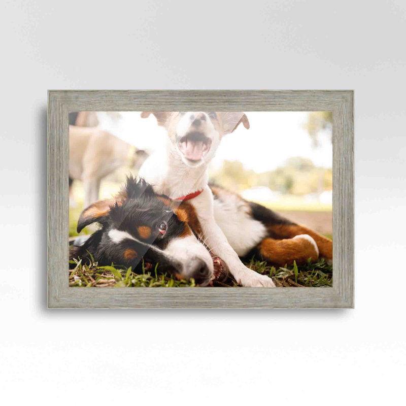 Cadre photo simple Barnwood, Gris, 5 po x 7 po