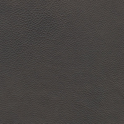 Sidney Sofa
