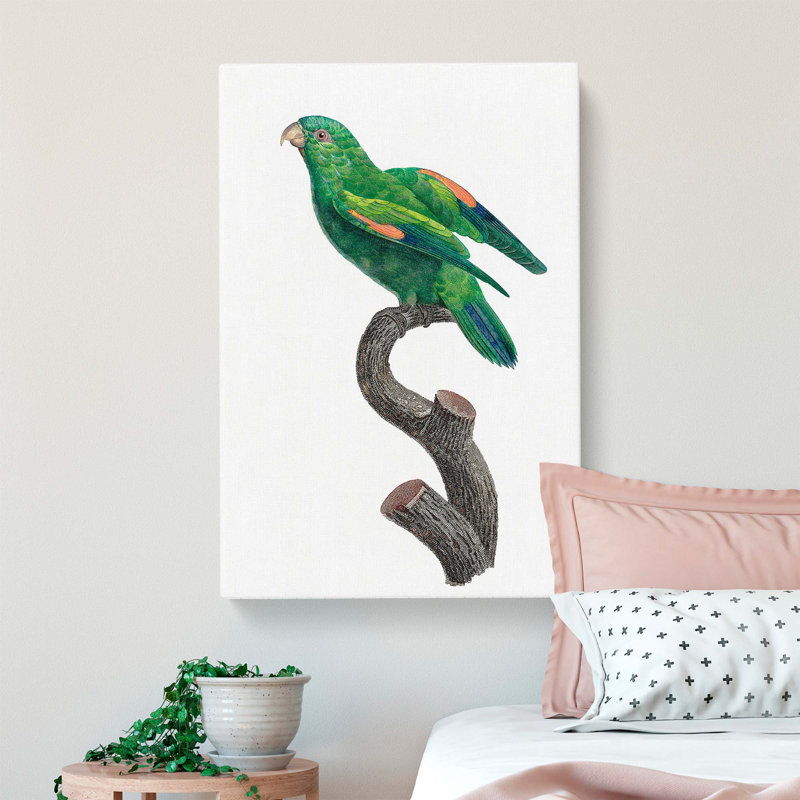 Marigold Lorikeet by F. Levaillant - Wrapped Canvas, 50cm H x 35cm W x 3cm D