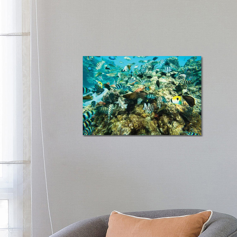 Coral Reef Fish Swimming In The Pacific Ocean, Tahiti, French Polynesia by Panoramic Images - Wrapped Canvas Print