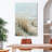 Coastal Dune Grass-243556034