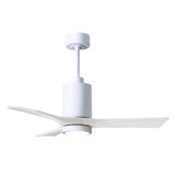 Patricia LED Downrod Ceiling Fan