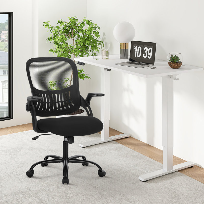 Ovidia Office Set: Electric Standing Desk And Mesh Office Chair, White