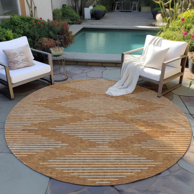 Machine Washable Indoor/Outdoor Chayden ACN1016 Rug
