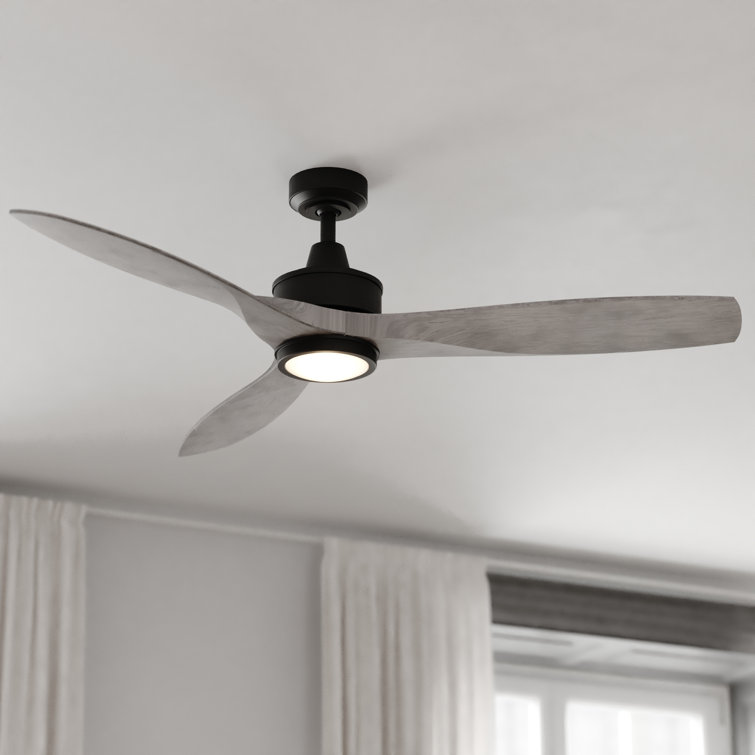 Ballog 52" 3 - Blade LED Propeller Ceiling Fan with Remote Control and Light Kit Included