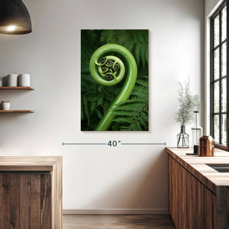 Fronde Harnek, H 39 po x l 26 po