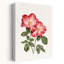 Botanique, roses roses, délicat, rétro, rose, fleur naturelle, art mural-283158975