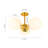 Willrich Glass Semi Flush Mount
