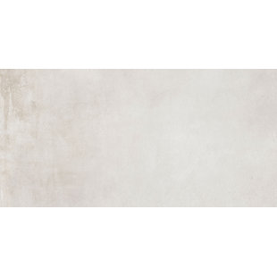 Caementum Series 24"x48"