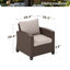 Premium All-Weather Wicker Outdoor Lounge Chair-954046084