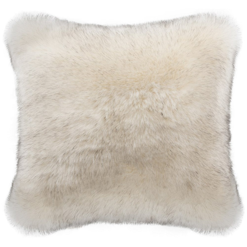  Coussin décoratif