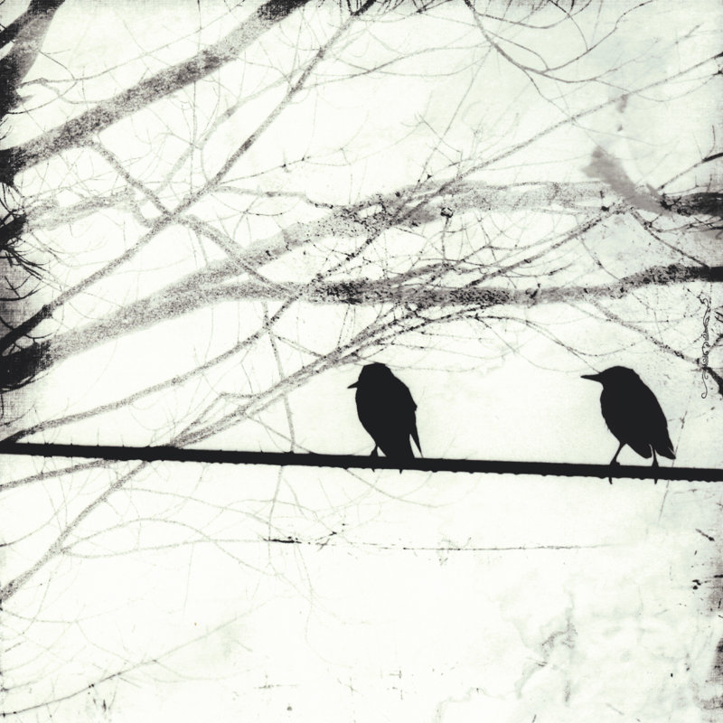 Silver Days I by Ingrid Blixt - Wrapped Canvas Painting, 122cm H x 122cm W x 3.8cm D