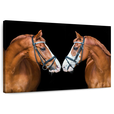 Brampt Nose To Nose Horses