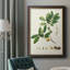 Spring Green Foliage VII - Single Picture Frame Painting on Canvas-1180375838