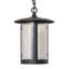 Gravett 1 - Light Pendant