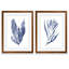 "Seaweed Under Water III" - ensemble de 2 reproductions d'art-1089807161-1089807172-1161576867