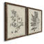 «Antique Black and White Botanical IV», ensemble de 2 reproductions d'art sur toile-1516307829-1516307837