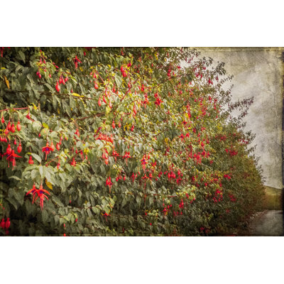 Ireland In Colour XI by Richard James - Wrapped Canvas Print