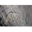 Oriental Area Rug-92900392