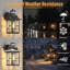 Black Outdoor Sconce