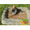 Digasaurus Activity 3.9' Sandbox with Cover
