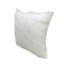 Guaymas 2PK 20 X 20 pouces Coussins décoratifs en polypropylène léger et doux Coussin décoratif pour lit et canapé d'intérieur E95558195BE0443792C916D2CA49FD89