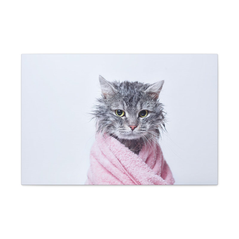 Funny Tabby Cat Bathee Canvas Wall Art