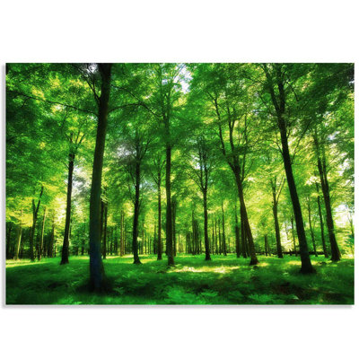 Murale à peindre Forest01