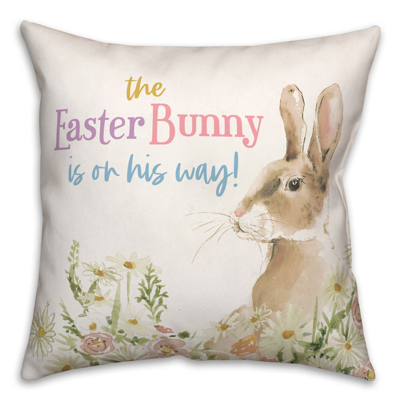  Housse et insert de coussin décoratif en polyester, 16 po x 16 po