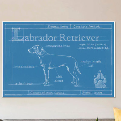 «Blueprint of a Labrador Retriever», reproduction d'art sur toile