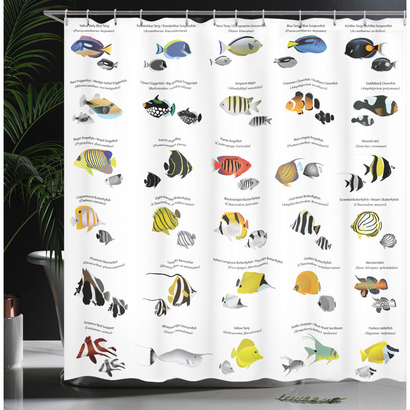 Shower Curtain with Hooks Included, 84" H x 69" W
