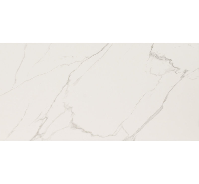 Carrelage mural en porcelaine mate 24 po x 48 po Zola, Delia