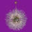 24” Dimmable Starburst Crystal Chandelier with LED Lights and Adjustable Chain