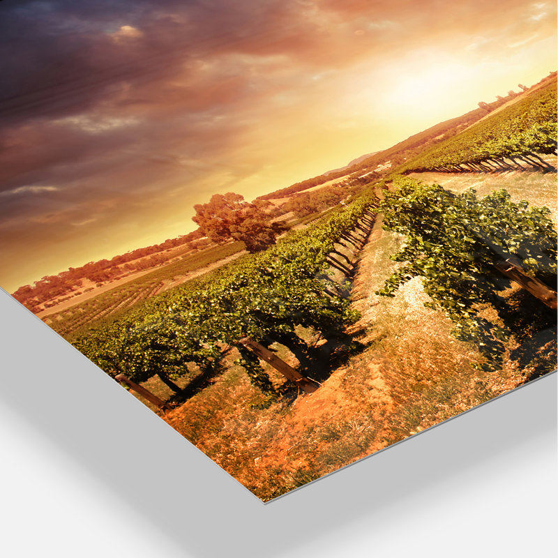 Stormy Sunset Vineyard Landscape Canvas Art, 32" x 16"
