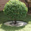 Tree Ring Decorative Garden Modern Protector Outdoor Ornament Base Home-496734267
