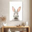 Visage de lapin Brampt-108249901