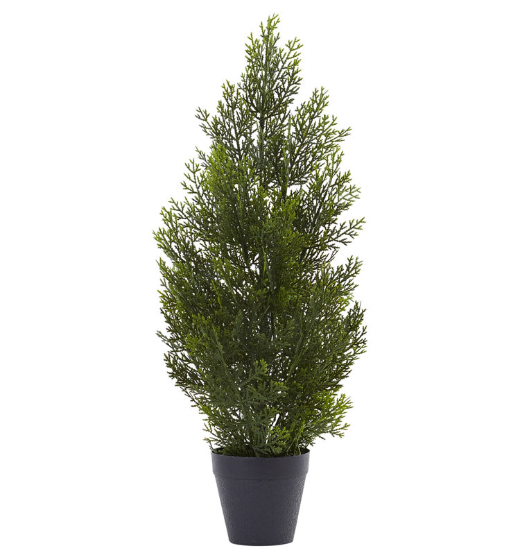 Faux Foliage Tree in Pot, 24" H x 13" W x 11" D