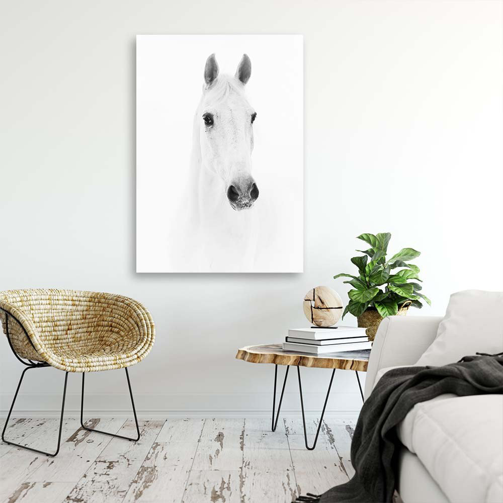 Leinwandbild Horse Animals Nature White