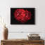 Impression sur toile Blooming Red Dahlia-1855557700