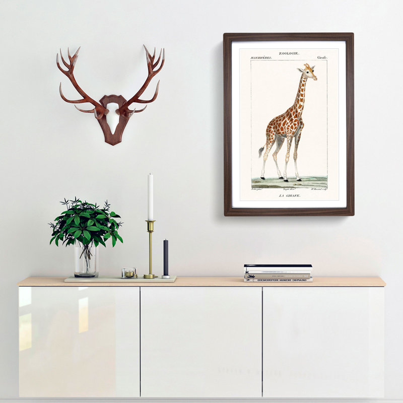 Giraffe by P.J.F. Turpin - Picture Frame Painting Print, 65cm H x 48cm W x 2cm D, Walnut Framed