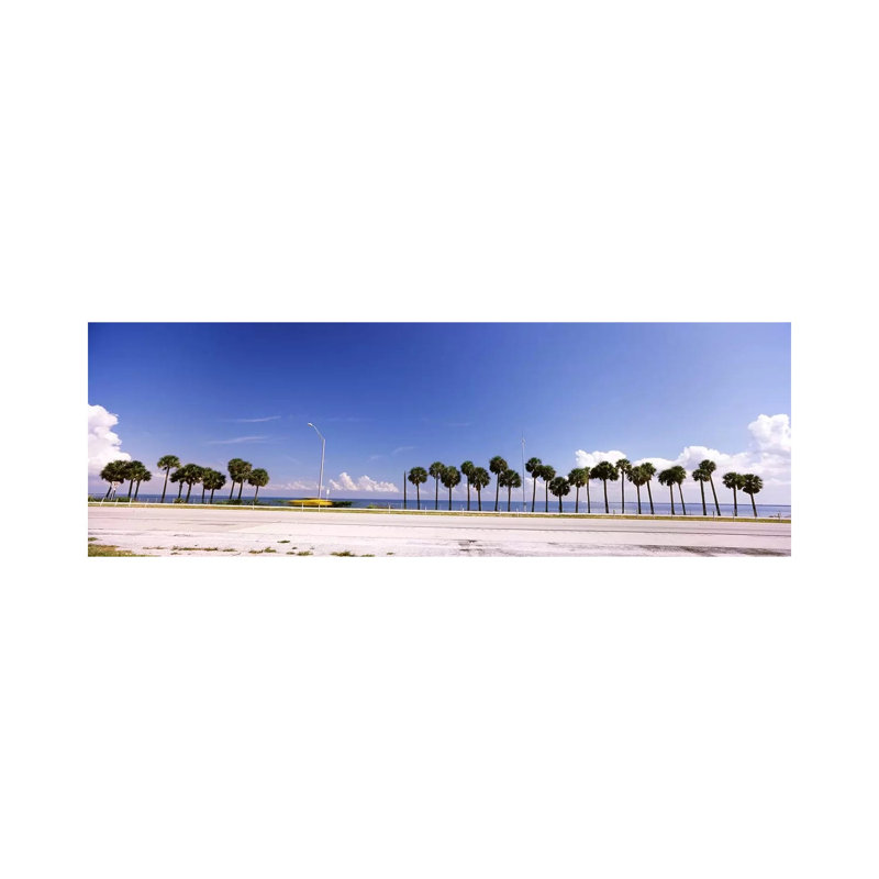 Palm Trees At The Roadside, Interstate 275, Tampa Bay, Gulf Of Mexico, Florida, USA by Panoramic Images - Wrapped Canvas Panoramic Print