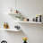 Marcellin Floating Shelf