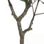Ficus artificiel 51 po avec pot en plastique
