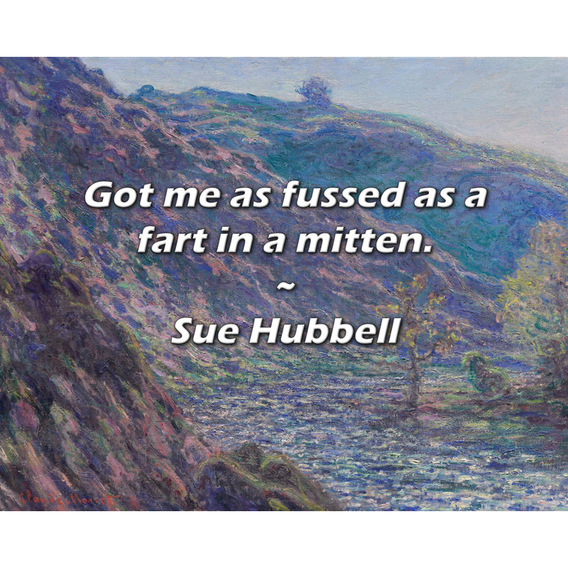 Sue Hubbell Quote: Got me as fussed as a fart in a mitten.