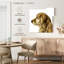 Brampt Pet Profile I
