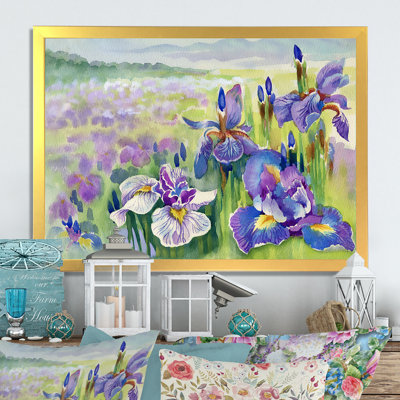 " Iris Field In Summer "